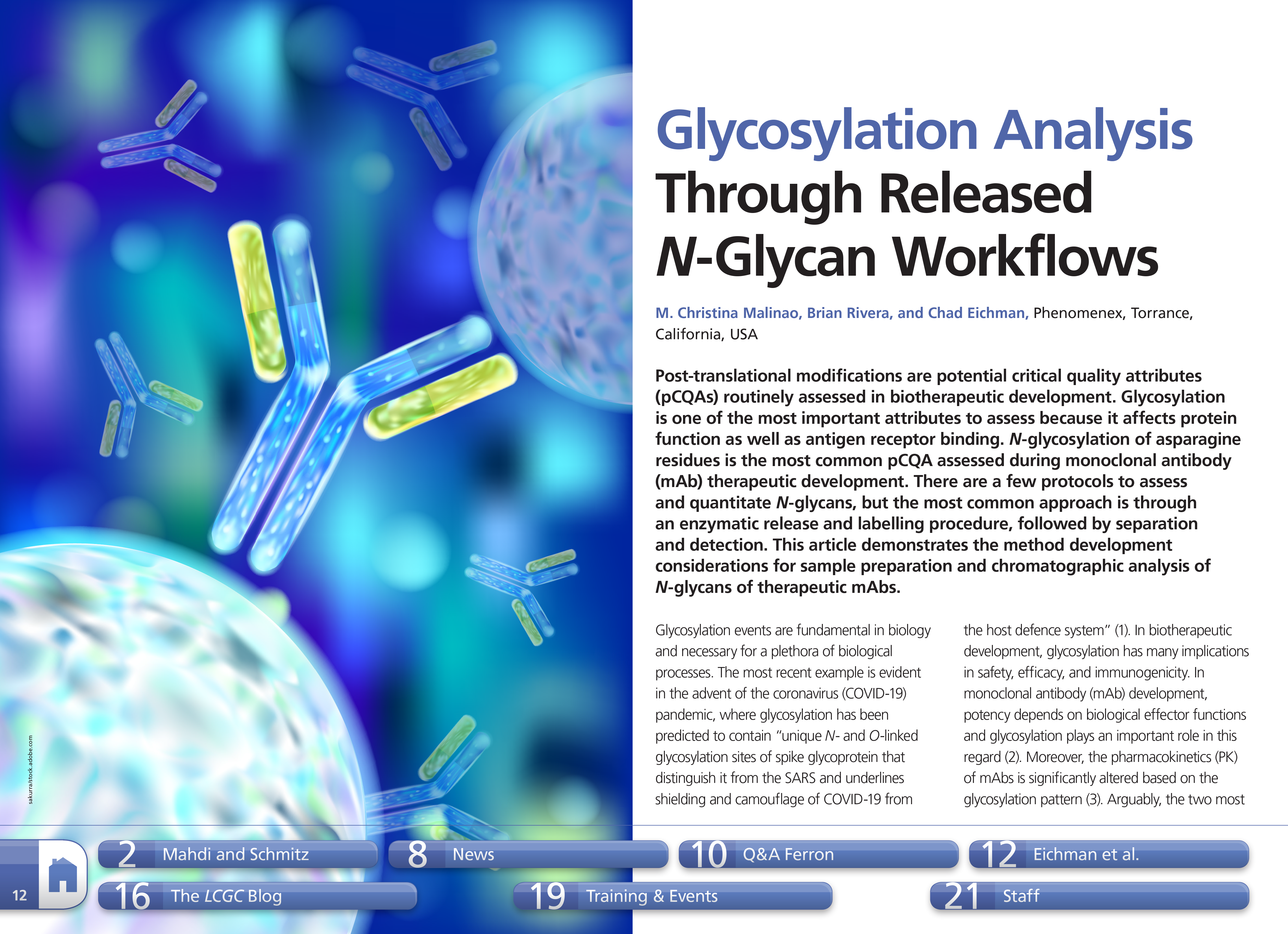 Glycosylation Analysis Through Released N-Glycan Workflows
